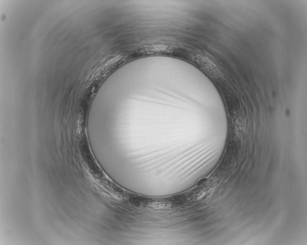 X0000059090546200511041850