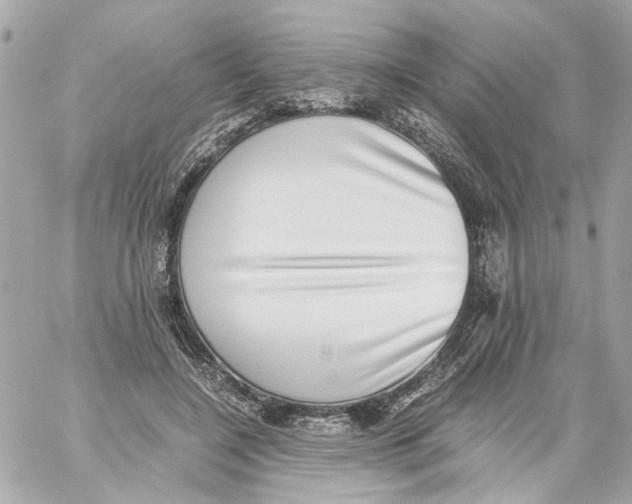 X0000059090548200511041850