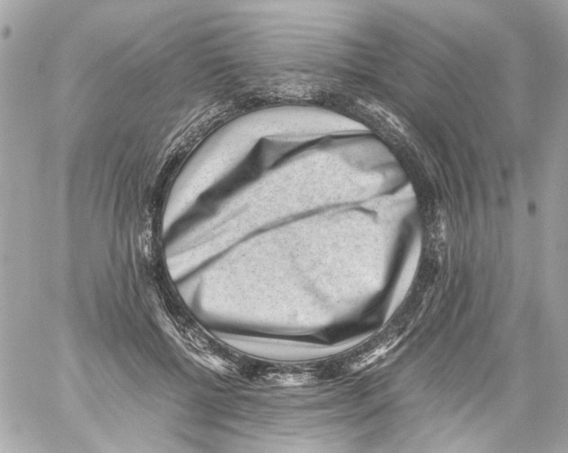 X0000059090552200511041850