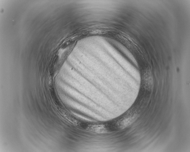X0000059090554200511041850