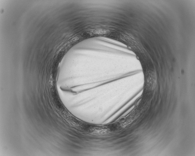 X0000059090555200511041850
