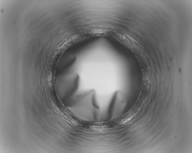X0000059090556200511041850