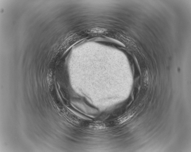 X0000059090559200511041850