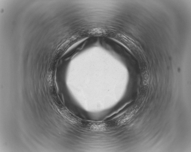 X0000059090560200511041850