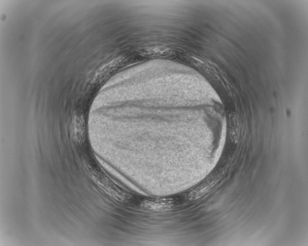 X0000059090563200511041850