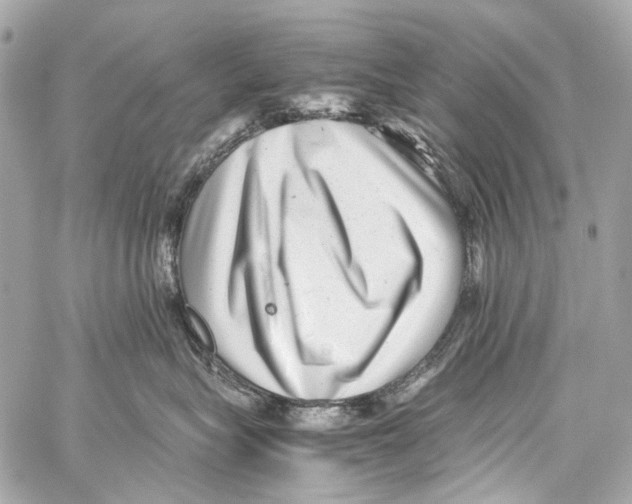 X0000059090575200511041850