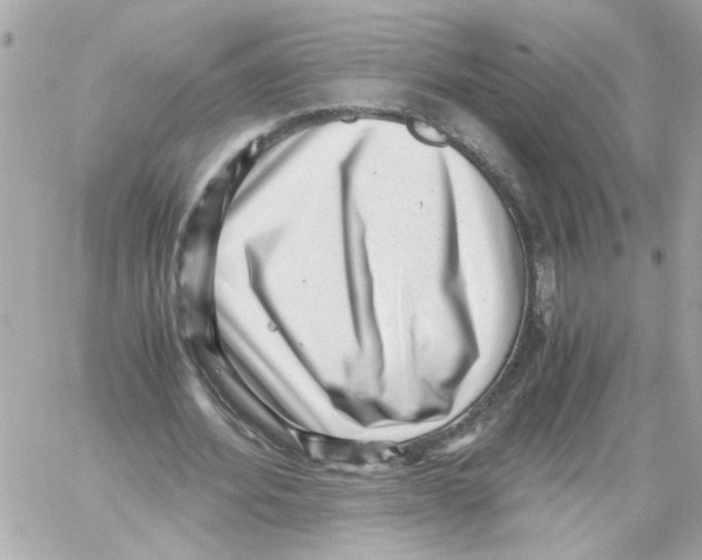 X0000059090580200511041850