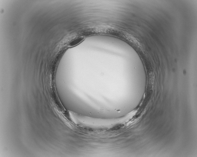 X0000059090589200511041849