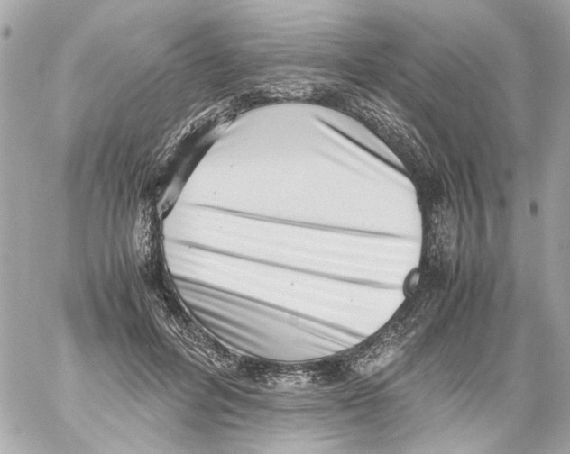 X0000059090600200511041849