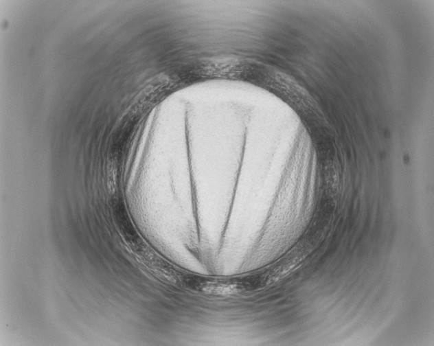 X0000059090602200511041849