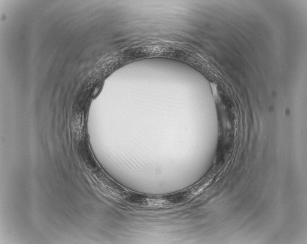 X0000059090605200511041849