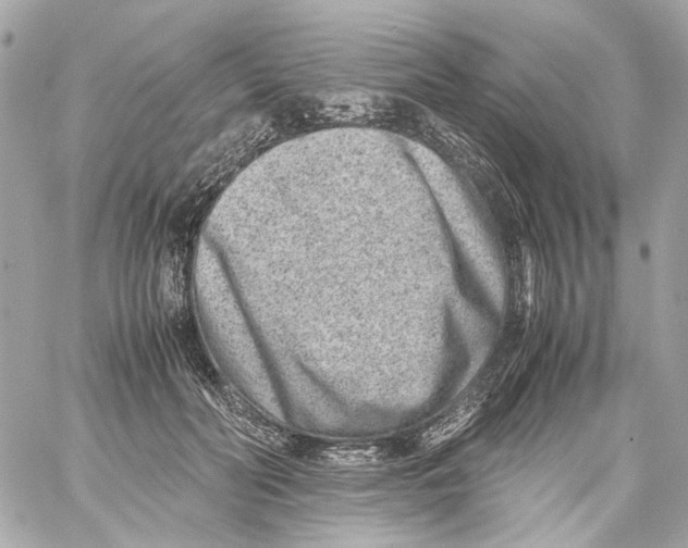 X0000059090606200511041849