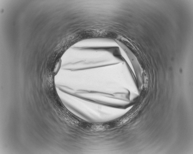 X0000059090613200511041849