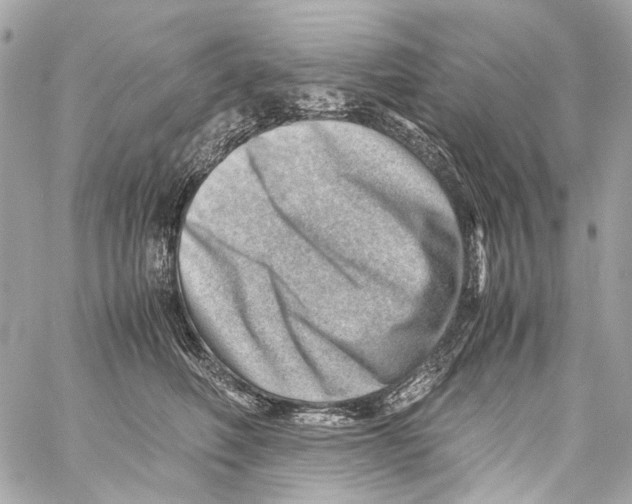 X0000059090614200511041849