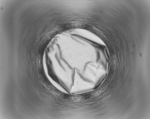 X0000059090615200511041849
