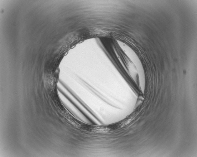 X0000059090617200511041849