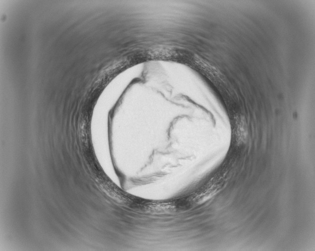 X0000059090619200511041849
