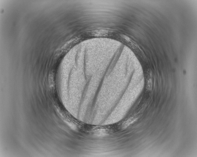 X0000059090620200511041849