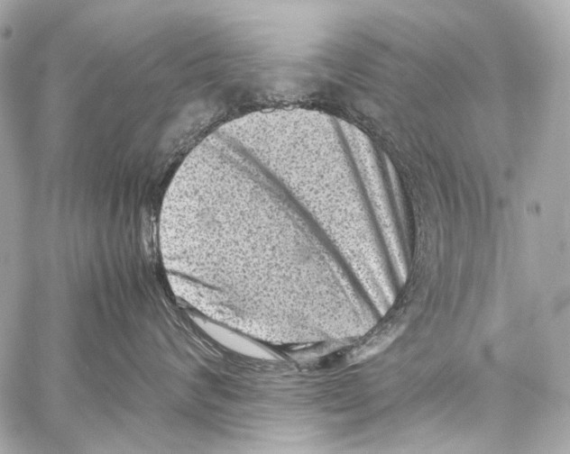 X0000059090624200511041849