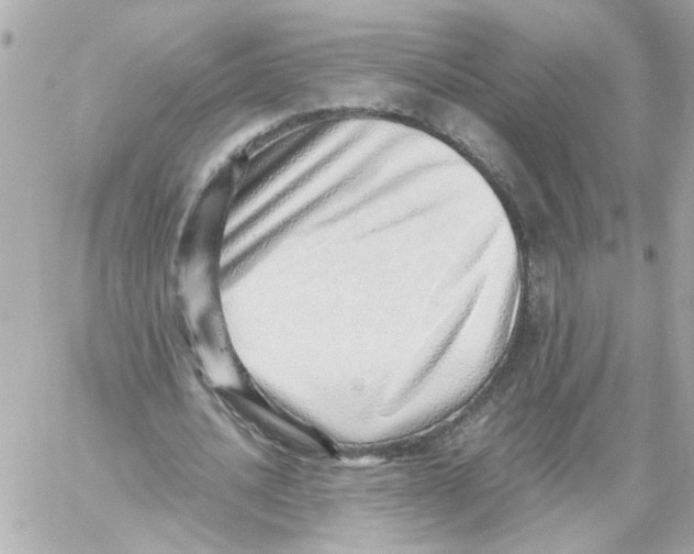 X0000059090628200511041848