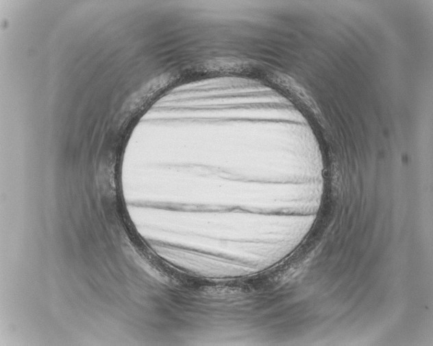 X0000059090633200511041848