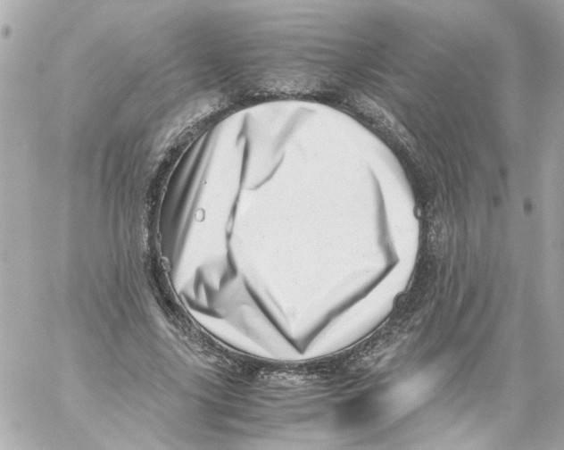 X0000059090635200511041848