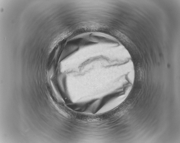 X0000059090638200511041848