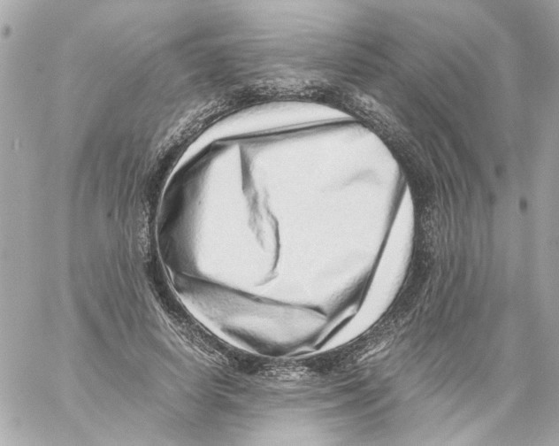 X0000059090642200511041848