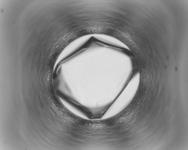 X0000059090645200511041848