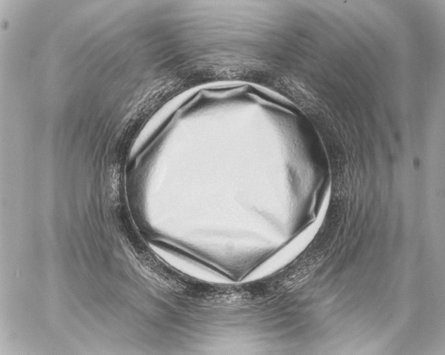 X0000059090646200511041848