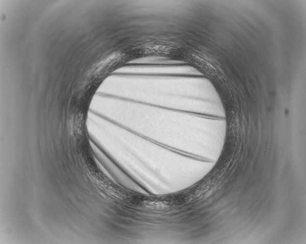 X0000059090649200511041848