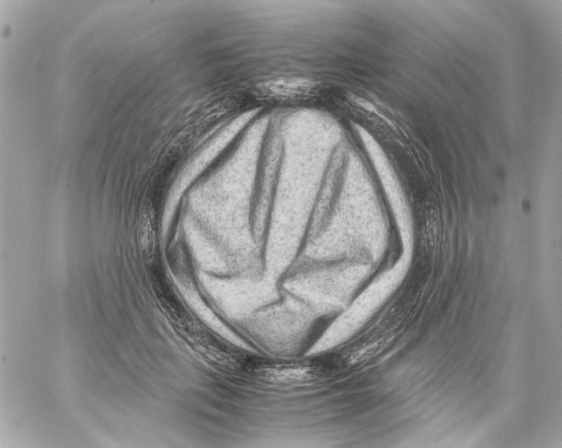 X0000059090651200511041848