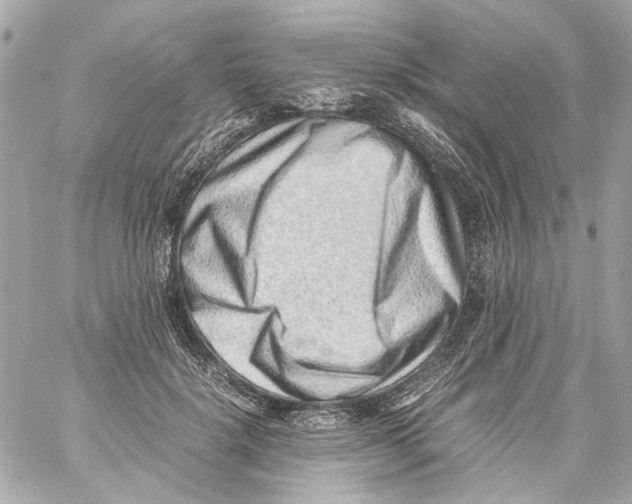 X0000059090652200511041848