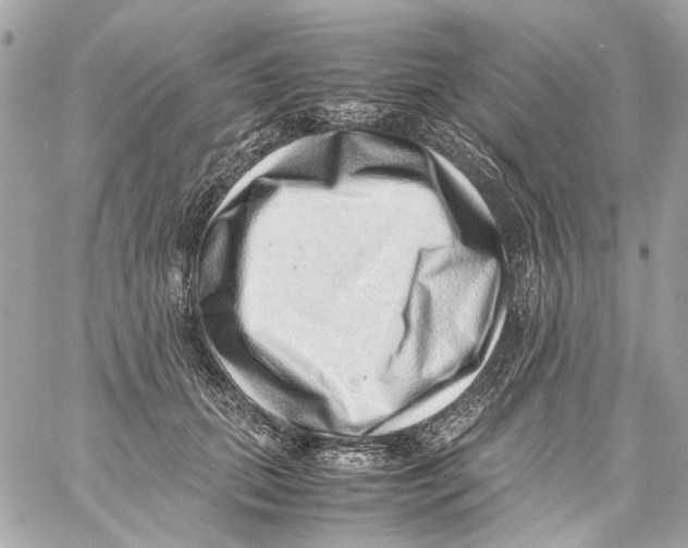 X0000059090655200511041849
