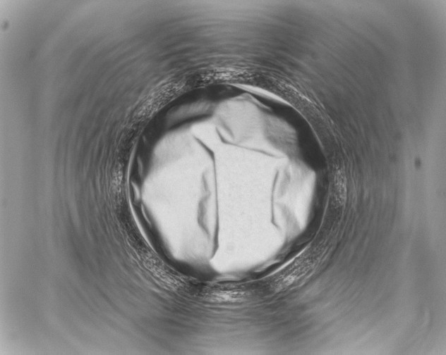 X0000059090657200511041849