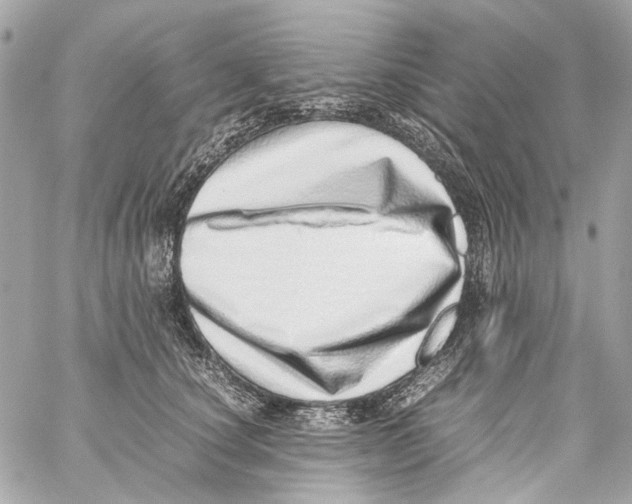 X0000059090660200511041849