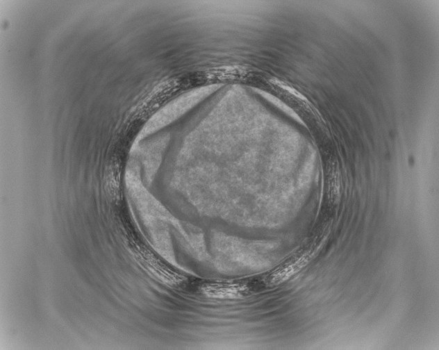 X0000059090661200511041849