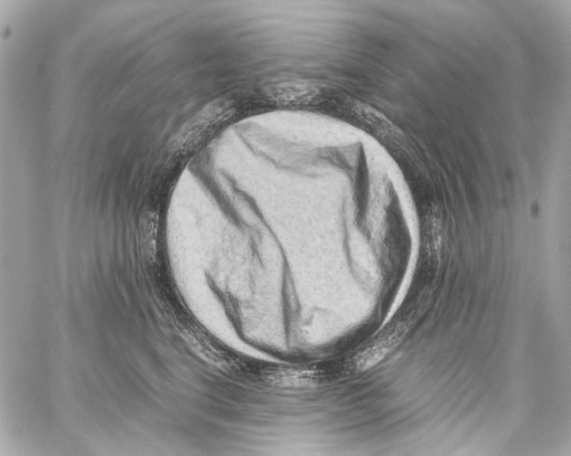X0000059090664200511041849