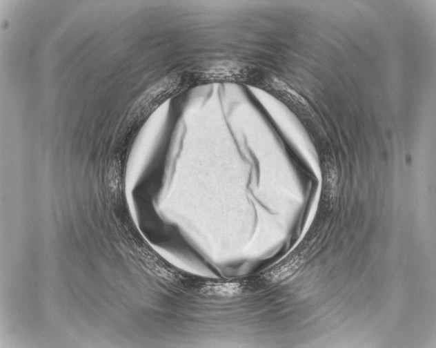 X0000059090665200511041849