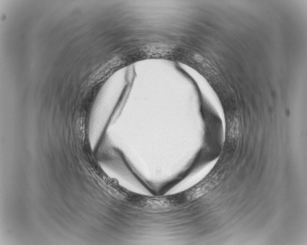 X0000059090666200511041849