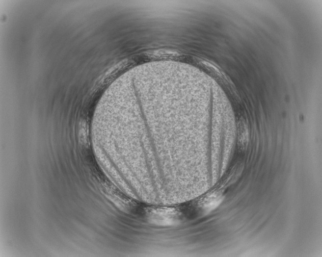 X0000059090669200511041849