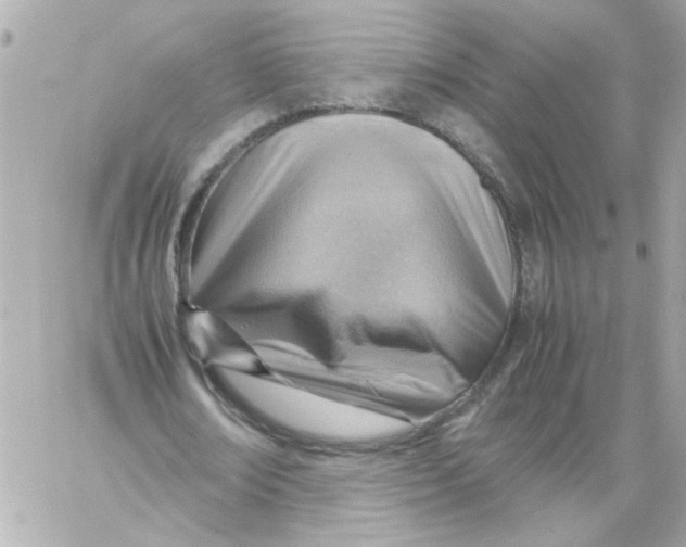 X0000059090674200511041848