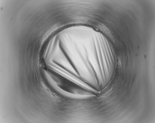 X0000059090676200511041848