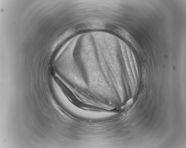 X0000059090677200511041848