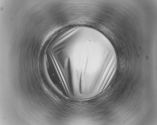 X0000059090680200511041848