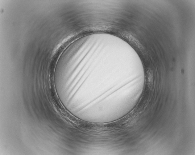 X0000059090684200511041848