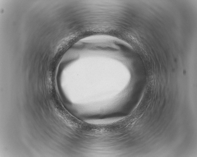 X0000059090688200511041848