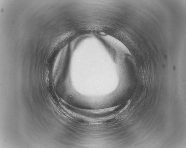 X0000059090692200511041848