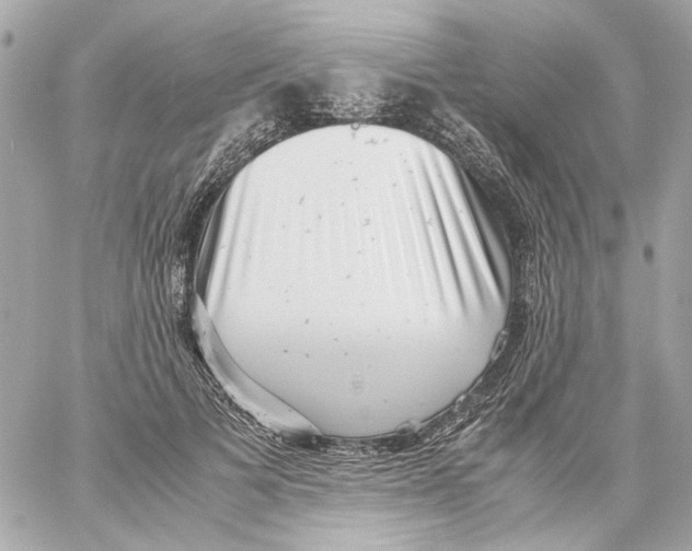 X0000059090697200511041848