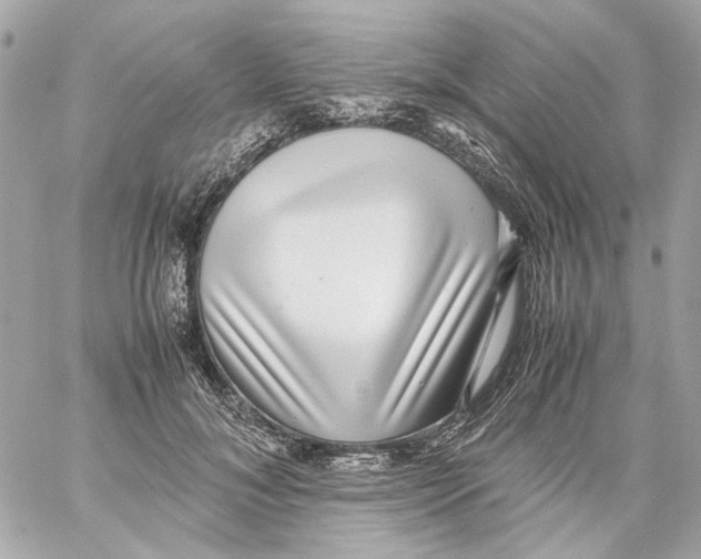 X0000059090700200511041848